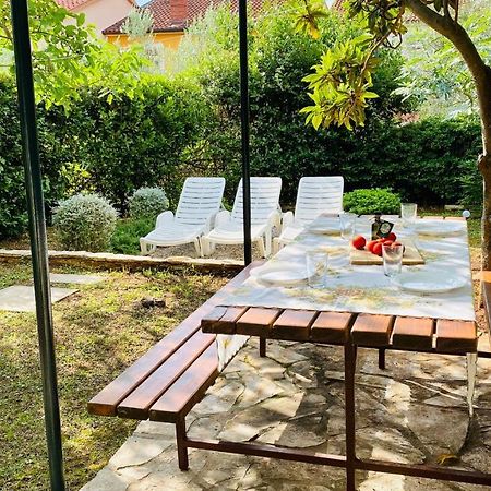 Bilini Garden Apartment プーラ エクステリア 写真
