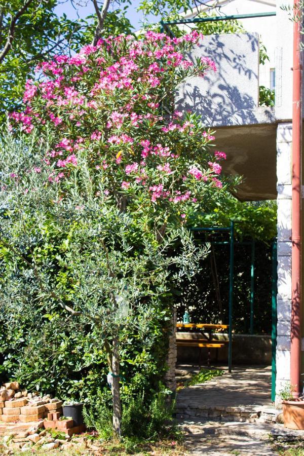 Bilini Garden Apartment プーラ エクステリア 写真